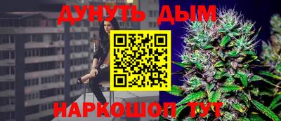 бошки Шелехов