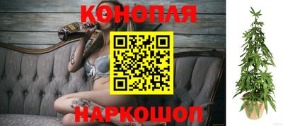 бошки Шелехов