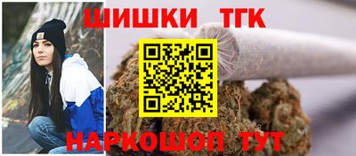 бошки Шелехов